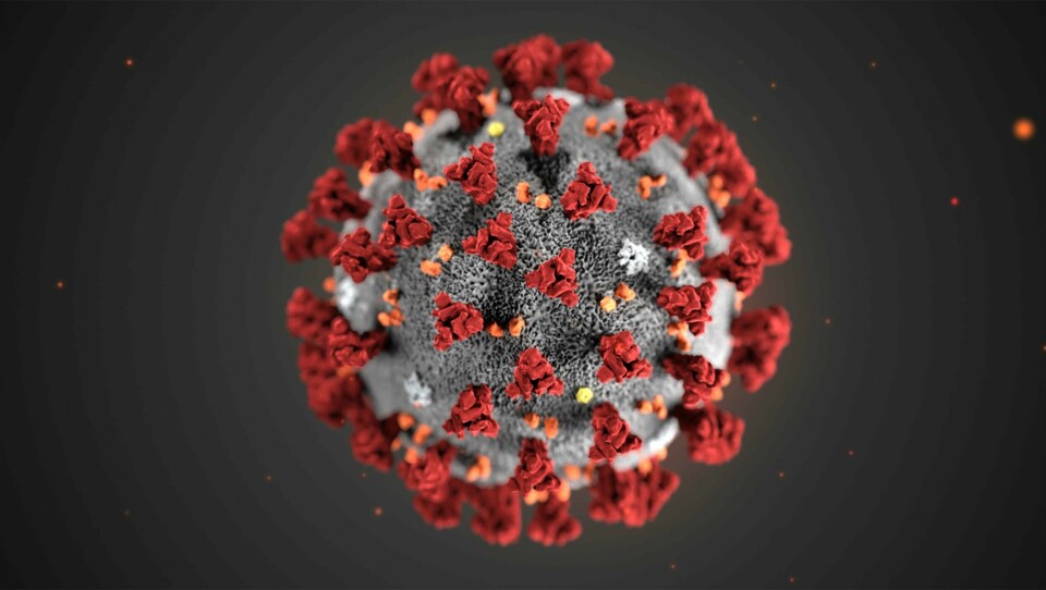 Illustration: Centers for Disease Control and Prevention via AP/TT
