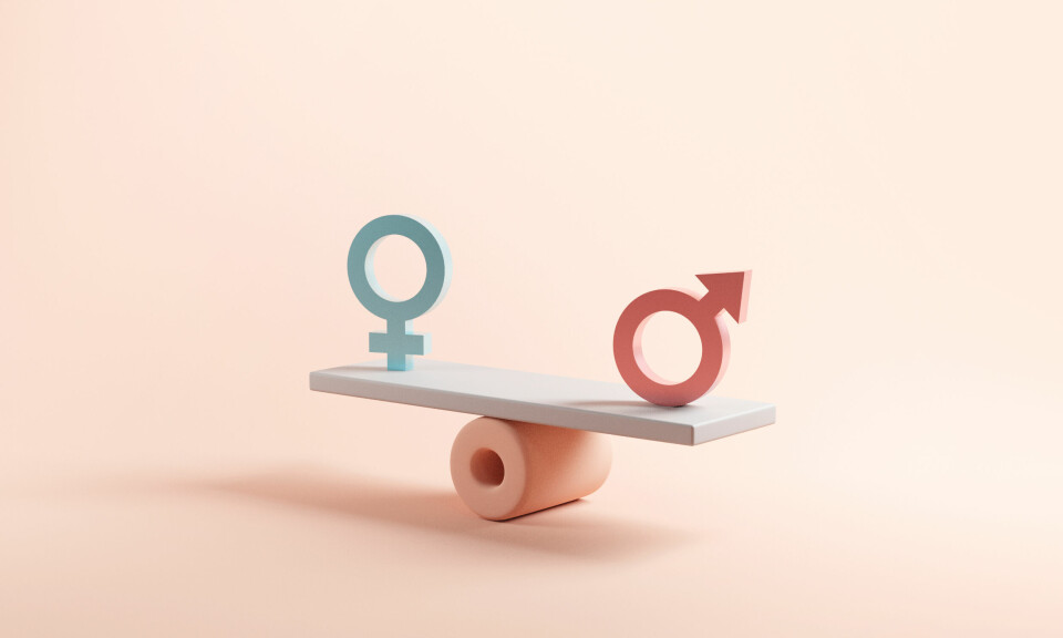 Jesusboken har en beröringsskräck för feministteologi