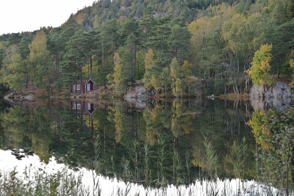 Vi förväntar oss att Svenska kyrkan är en trovärdig röst