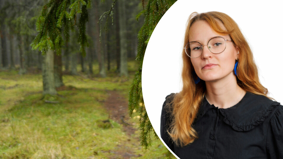 Nog finns visst fog för att kalla skogsspektaklet sabotage