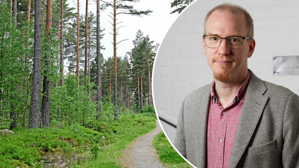 En tredje skogsväg skogen