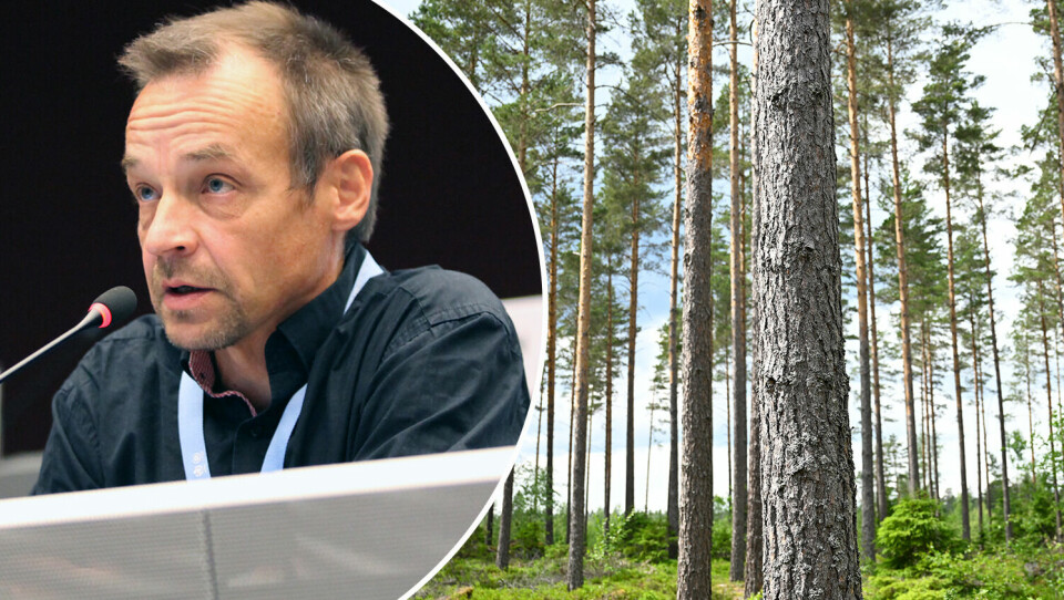 Frågor om klimatförändring fanns inte på bordet när dagens skogsbruk tog form