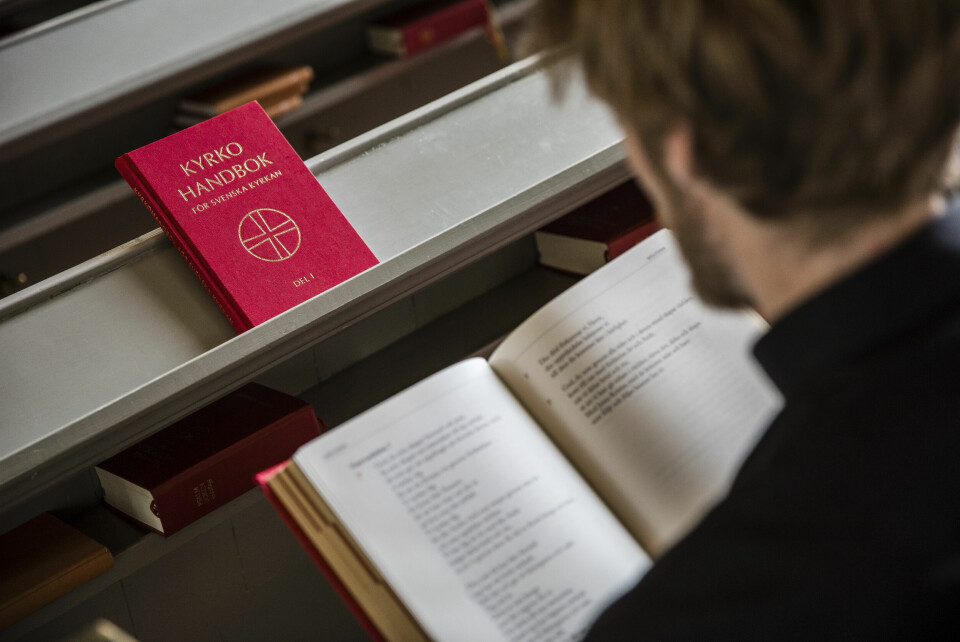 Professor Mattias Lundberg instämmer i Björnbergs uppmaning att utreda vad som hänt med omtaget.
