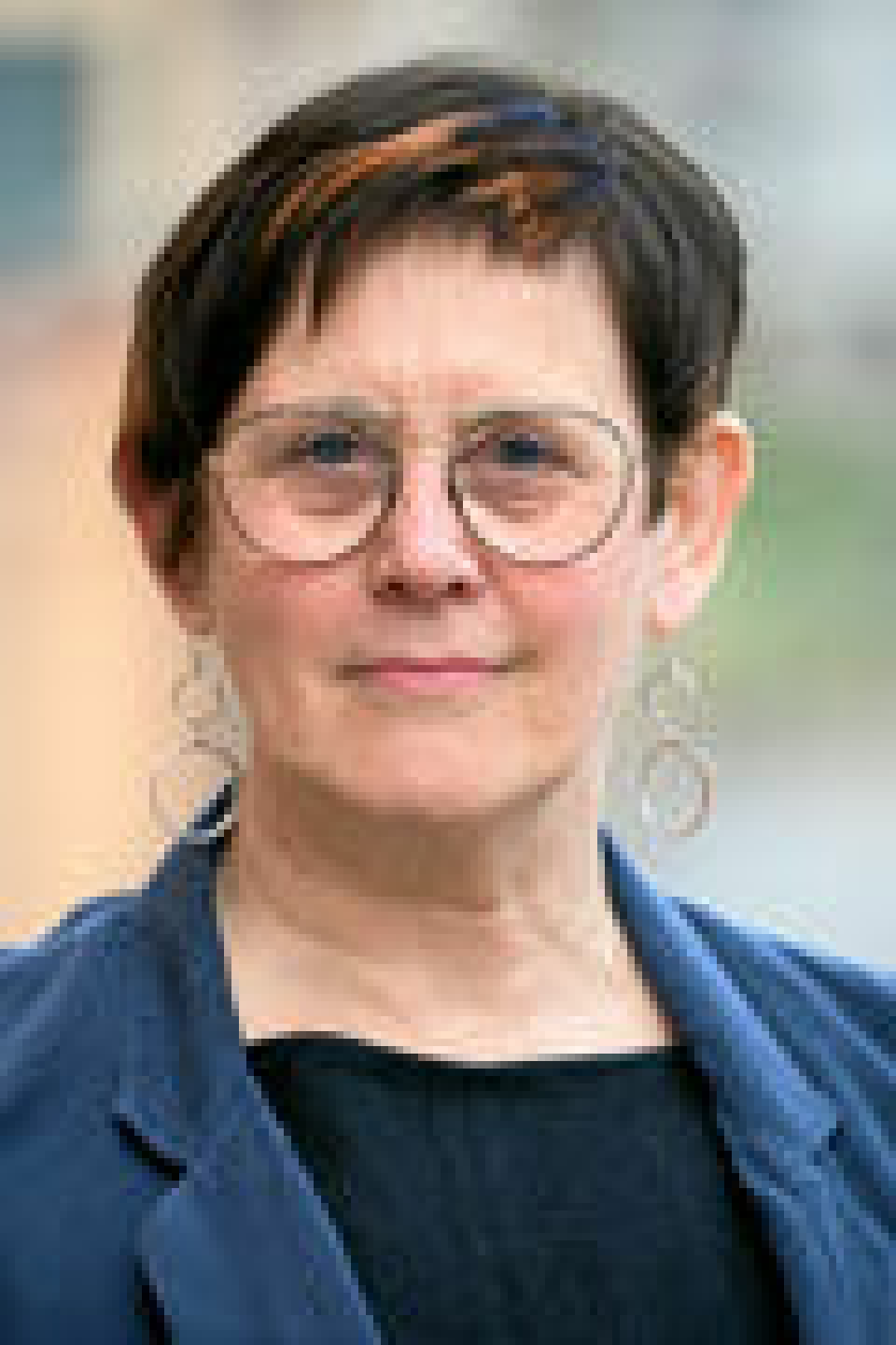 Lisa-Gun Bernerstedt Lisa-Gun Bernerstedt