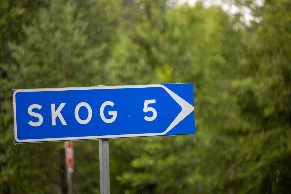 Som man ropar i skogen får man svar