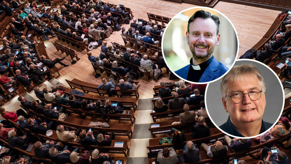 Tillsammansskapet i Svenska kyrkan behöver rötter, kraft och framtidstro