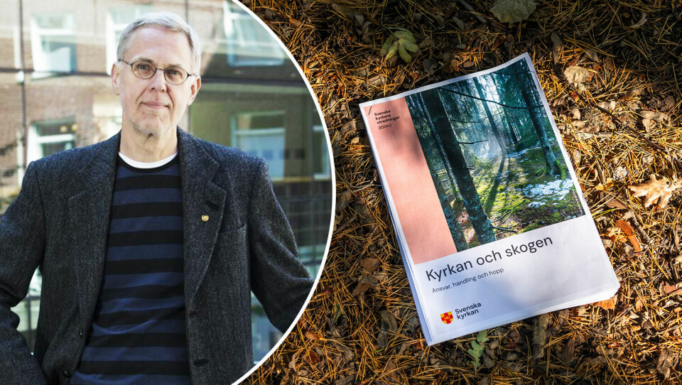 Skogsdebatten behöver sans och balans