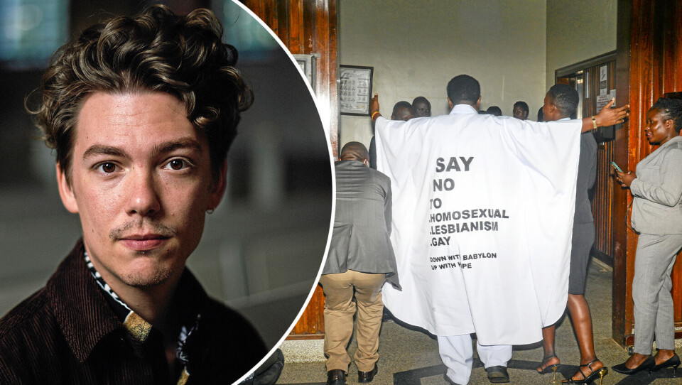 Ayollarni jinni Qattiq eshaklardagi ulkan xorozlarning fotosuratlari