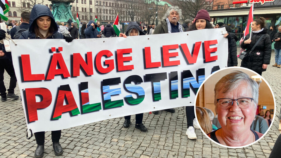 Demonstration i Malmö.