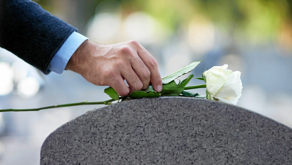 Cropped shot of a man placing a white rose on a grave