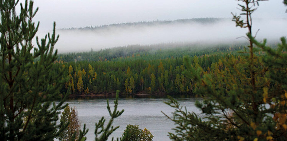 Vi tar hänsyn till klimat och natur