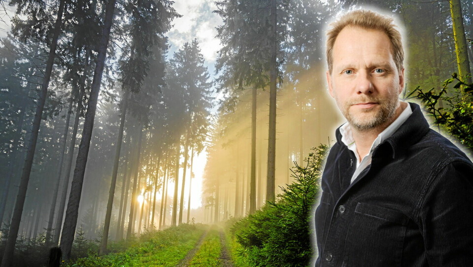 Gudlöst folk, granskogsfolk eller gryningsfolk