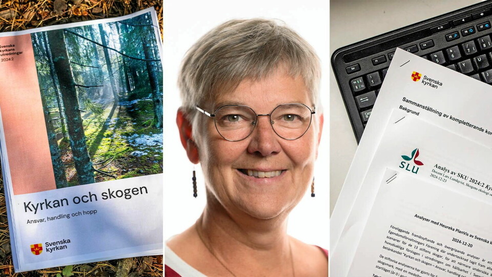 Det saknades information i Skogsutredningen, säger Anneli Kihlstrand, ENSO:s ordförande. Därför beställde ENSO kompletterande rapporter.