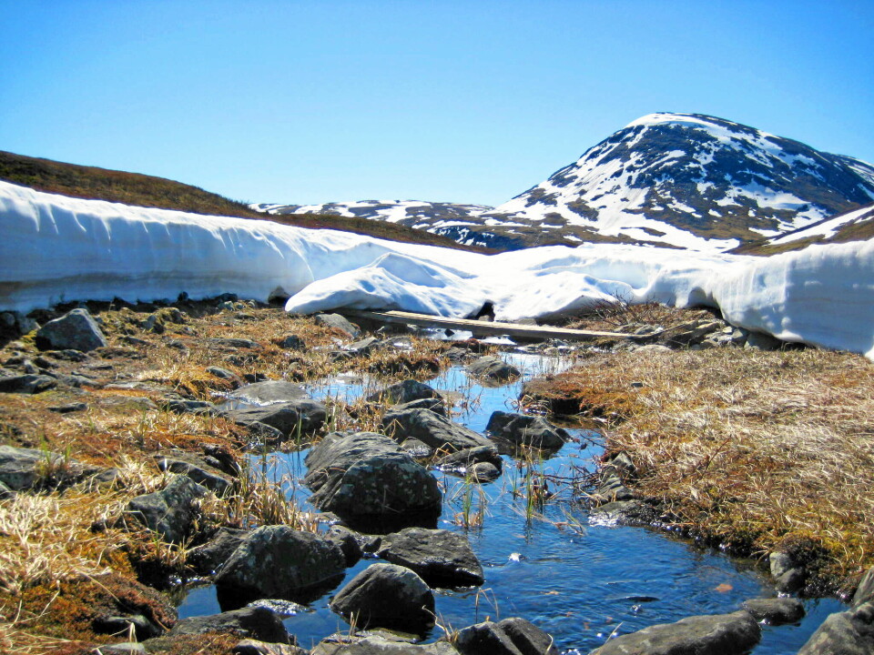 Författaren tar med läsaren på Dag Hammarskjöldsleden från Abisko till Nikkaluokta där naturupplevelsen förvandlas till en sorgevandring. Längs leden finns meditationsstationer.