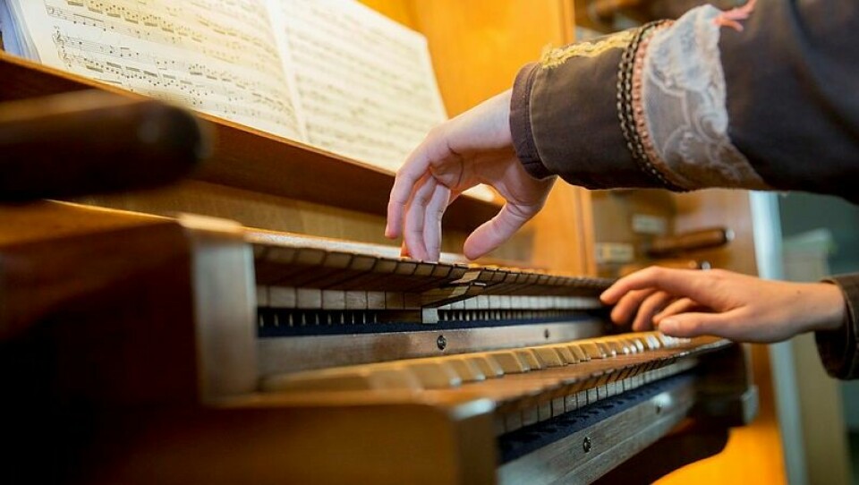 Så blir du kantor eller organist i Svenska kyrkan Kantor utbildning