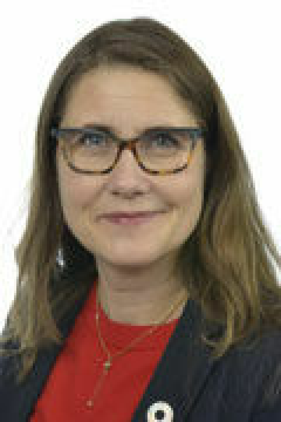 Janine Alm Ericson, MP Janine Alm Ericson, MP