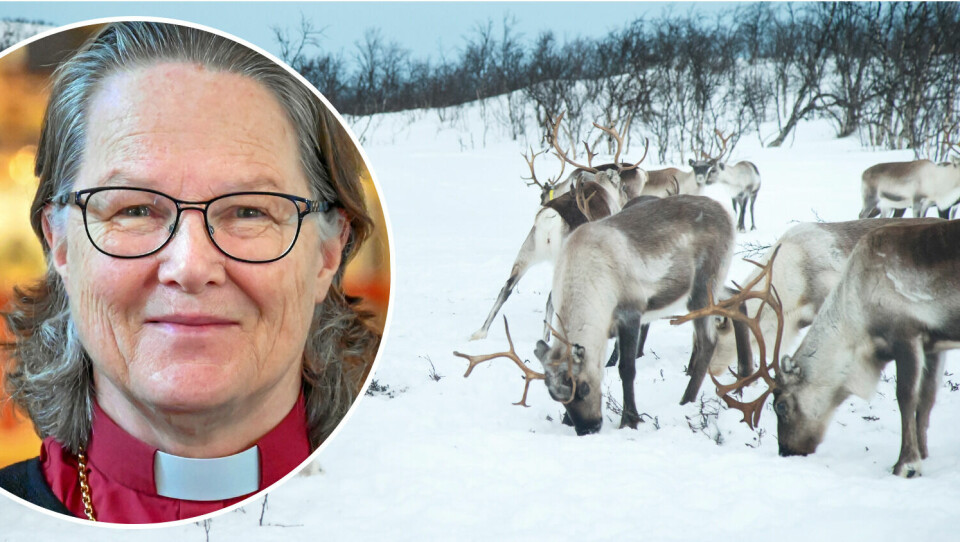 Luleå stifts remissvar är lätt att missförstå