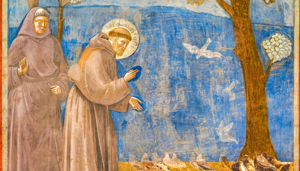 Fransiskus med sina vänner fåglarna. Här målad av konstnären Giotto som fresk i Assisi. The beautiful fresco painted by Giotto depicting Saint Francis talking to birds inside the Basilica Superiore di San Francesco (Upper Basilica of Saint Francis), in the medieval heart of Assisi, in Umbria. Giotto painted a series of great frescoes along the walls of the single nave of the Basilica between 1292 and 1305, depicting the Stories of St. Francis, from his vocation to his death. Built in the Italian Gothic style starting from 1228 and completed in 1253, the Basilica preserves the mortal remains of the Saint of the Poor since 1230. The construction of the Basilica consists of a Lower Basilica and an Upper Basilica, perfectly integrated. Over the centuries Assisi and the spirituality of its sacred places have become a symbol of peace, a point of reference for tolerance and solidarity between peoples and between the different confessions of the world. The Umbria region, considered the green lung of Italy for its wooded mountains, is characterized by a perfect integration between nature and the presence of man, in a context of environmental sustainability and healthy life. In addition to its immense artistic and historical heritage, Umbria is famous for its food and wine production and for the high quality of the olive oil produced in these lands. Since 2000 the Basilica and other Franciscan sites of Assisi have been declared a World Heritage Site by UNESCO. Image in high definition format.
Alt text