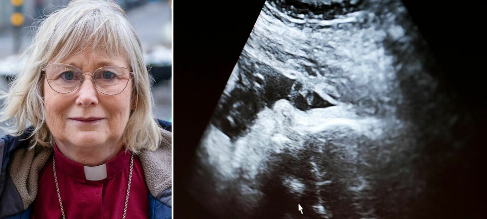 Abortdilemmat: Kvinnans valfrihet och fostrets värde