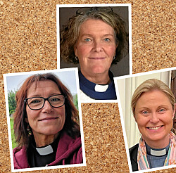 De har fått nytt jobb i Svenska kyrkan