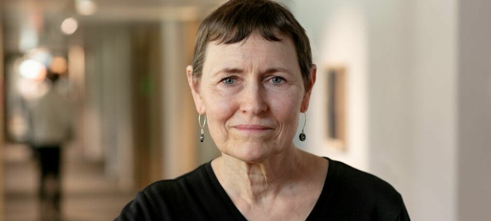 Kyrkorådsordförande blir ny stiftsdirektor i Stockholm