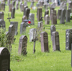 Kyrkogårdsförvaltningen säger nej till familjens gravsten